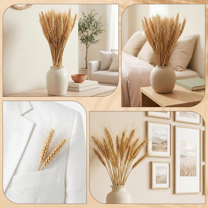 100 Stems Dried Wheat Stalks, Natural Dried Wheat Sheaves, Dry Grass Bouquet for Boho Farmhouse Home Wedding Table Kitchen Decor