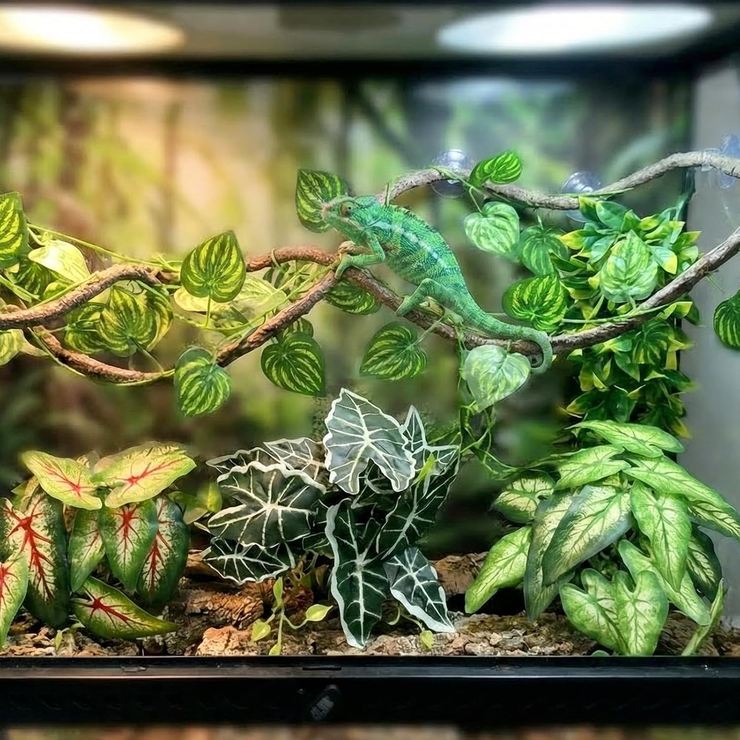 5 Pcs Reptile Plants & Habitat Decor Kit - 3 Artificial Plants & Large 5ft Jungle Vine Branch, Amphibian Habitat Hideout Tank Decorations fit Crested Gecko Leopard Lizard Chameleon Ball Python Frog