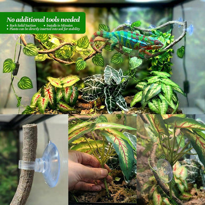 5 Pcs Reptile Plants & Habitat Decor Kit - 3 Artificial Plants & Large 5ft Jungle Vine Branch, Amphibian Habitat Hideout Tank Decorations fit Crested Gecko Leopard Lizard Chameleon Ball Python Frog