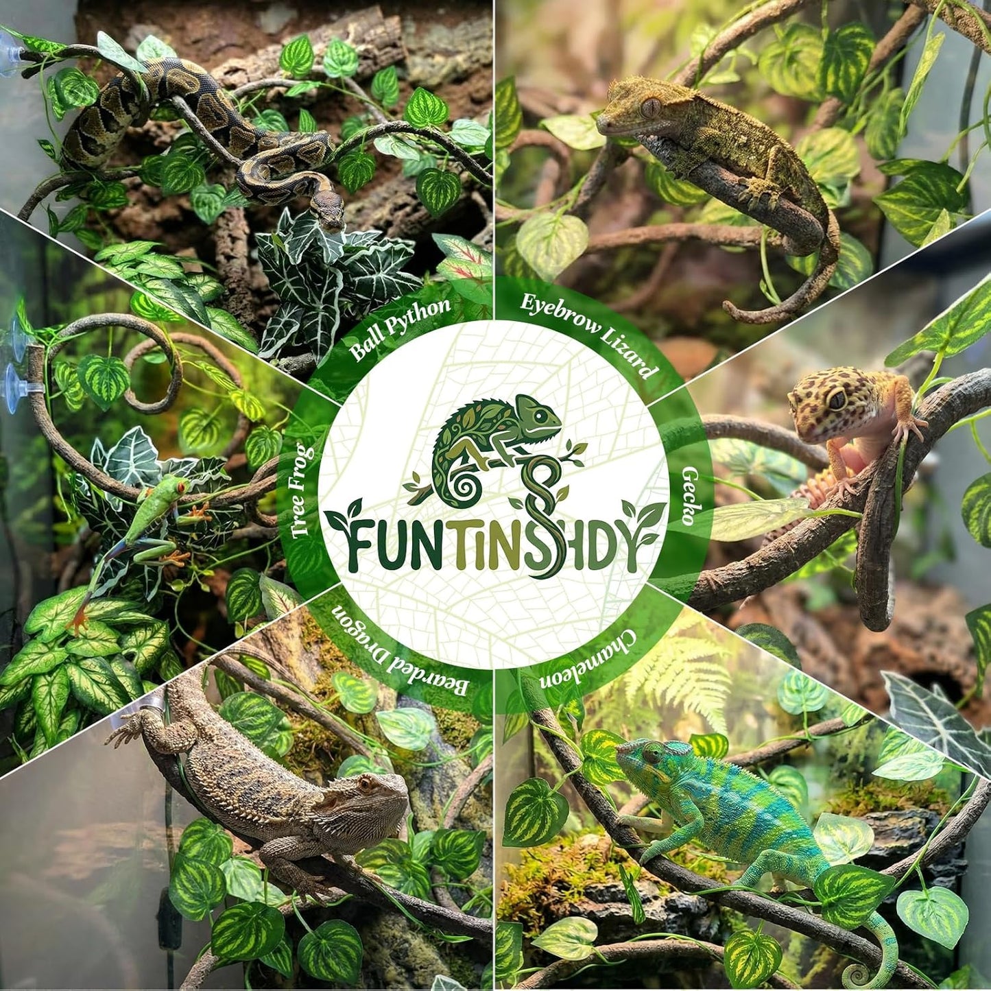 5 Pcs Reptile Plants & Habitat Decor Kit - 3 Artificial Plants & Large 5ft Jungle Vine Branch, Amphibian Habitat Hideout Tank Decorations fit Crested Gecko Leopard Lizard Chameleon Ball Python Frog