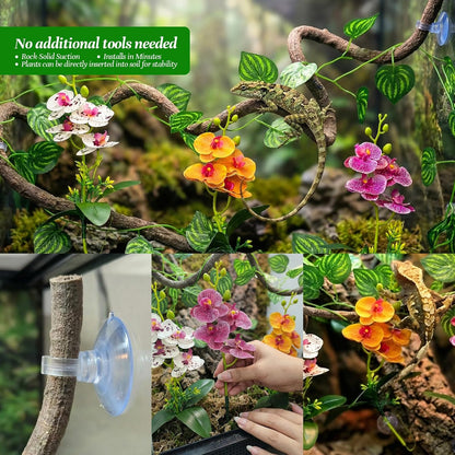 5 Pcs Reptile Plants & Habitat Decor Kit - 3 Artificial Plants & Large 5ft Jungle Vine Branch, Amphibian Habitat Hideout Tank Decorations fit Crested Gecko Leopard Lizard Chameleon Ball Python Frog