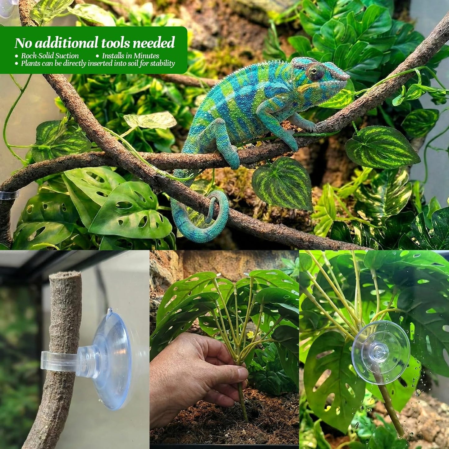 5 Pcs Reptile Plants & Habitat Decor Kit - 3 Artificial Plants & Large 5ft Jungle Vine Branch, Amphibian Habitat Hideout Tank Decorations fit Crested Gecko Leopard Lizard Chameleon Ball Python Frog