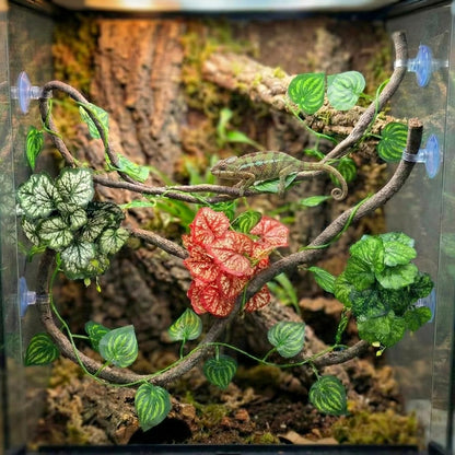 5 Pcs Reptile Plants & Habitat Decor Kit - 3 Artificial Plants & Large 5ft Jungle Vine Branch, Amphibian Habitat Hideout Tank Decorations fit Crested Gecko Leopard Lizard Chameleon Ball Python Frog