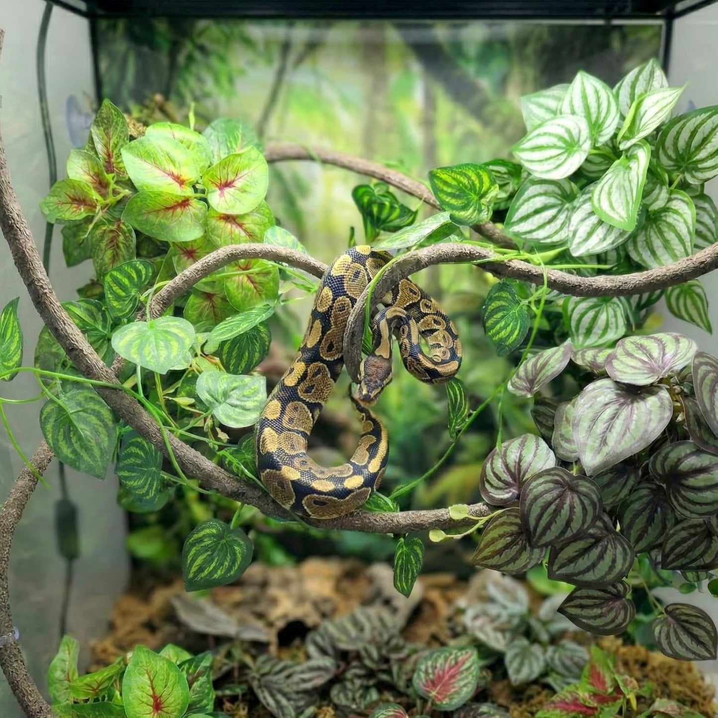 5 Pcs Reptile Plants & Habitat Decor Kit - 3 Artificial Plants & Large 5ft Jungle Vine Branch, Amphibian Habitat Hideout Tank Decorations fit Crested Gecko Leopard Lizard Chameleon Ball Python Frog