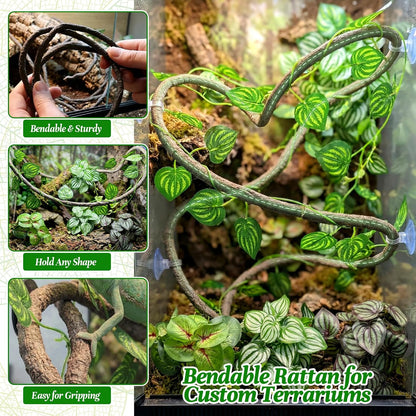 5 Pcs Reptile Plants & Habitat Decor Kit - 3 Artificial Plants & Large 5ft Jungle Vine Branch, Amphibian Habitat Hideout Tank Decorations fit Crested Gecko Leopard Lizard Chameleon Ball Python Frog