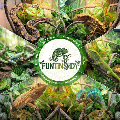 5 Pcs Reptile Plants & Habitat Decor Kit - 3 Artificial Plants & Large 5ft Jungle Vine Branch, Amphibian Habitat Hideout Tank Decorations fit Crested Gecko Leopard Lizard Chameleon Ball Python Frog