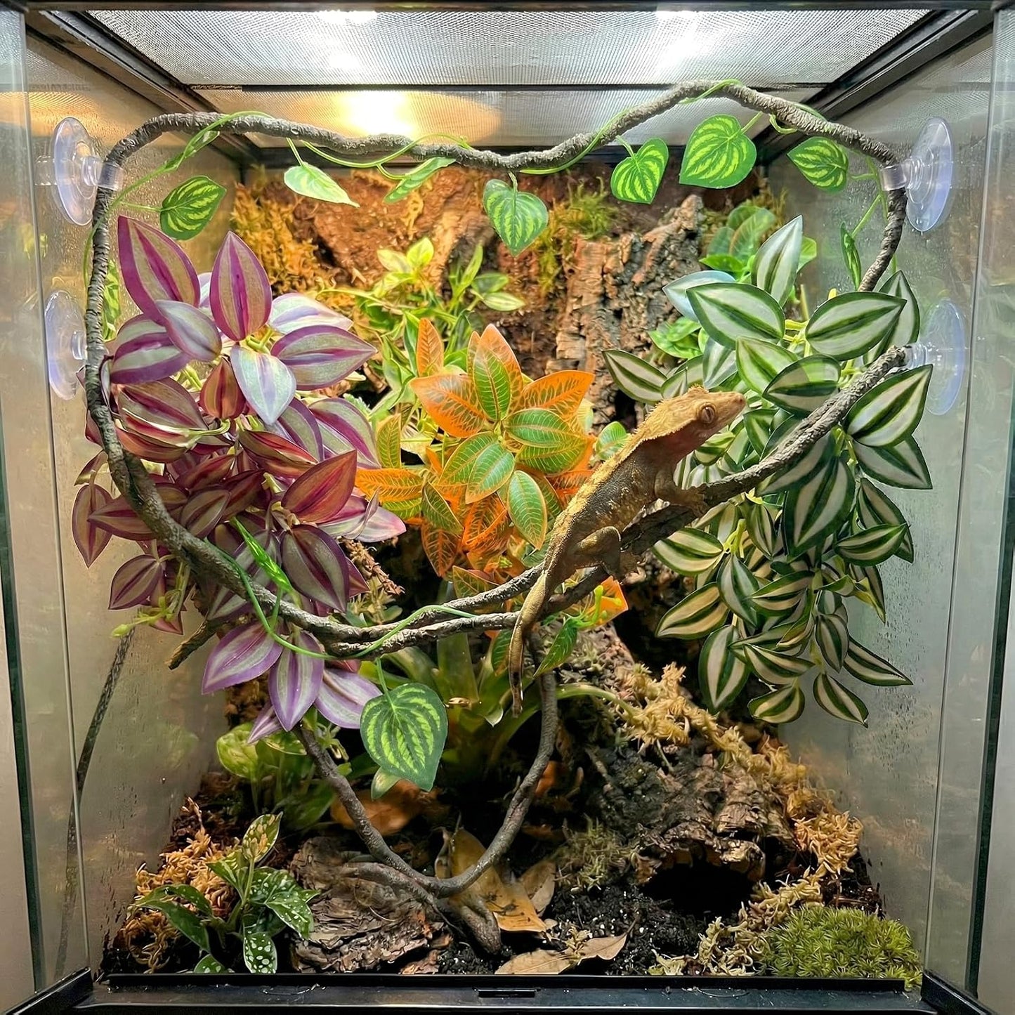 5 Pcs Reptile Plants & Habitat Decor Kit - 3 Artificial Plants & Large 5ft Jungle Vine Branch, Amphibian Habitat Hideout Tank Decorations fit Crested Gecko Leopard Lizard Chameleon Ball Python Frog