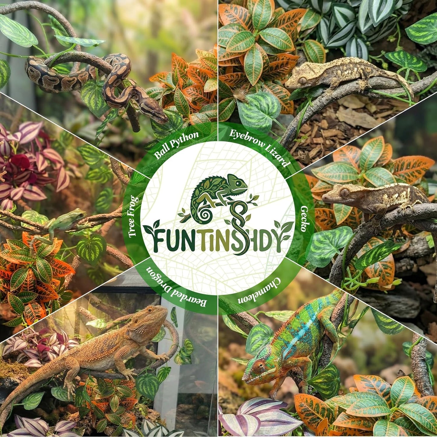 5 Pcs Reptile Plants & Habitat Decor Kit - 3 Artificial Plants & Large 5ft Jungle Vine Branch, Amphibian Habitat Hideout Tank Decorations fit Crested Gecko Leopard Lizard Chameleon Ball Python Frog