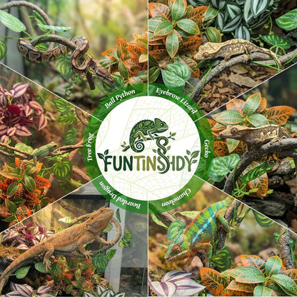 5 Pcs Reptile Plants & Habitat Decor Kit - 3 Artificial Plants & Large 5ft Jungle Vine Branch, Amphibian Habitat Hideout Tank Decorations fit Crested Gecko Leopard Lizard Chameleon Ball Python Frog
