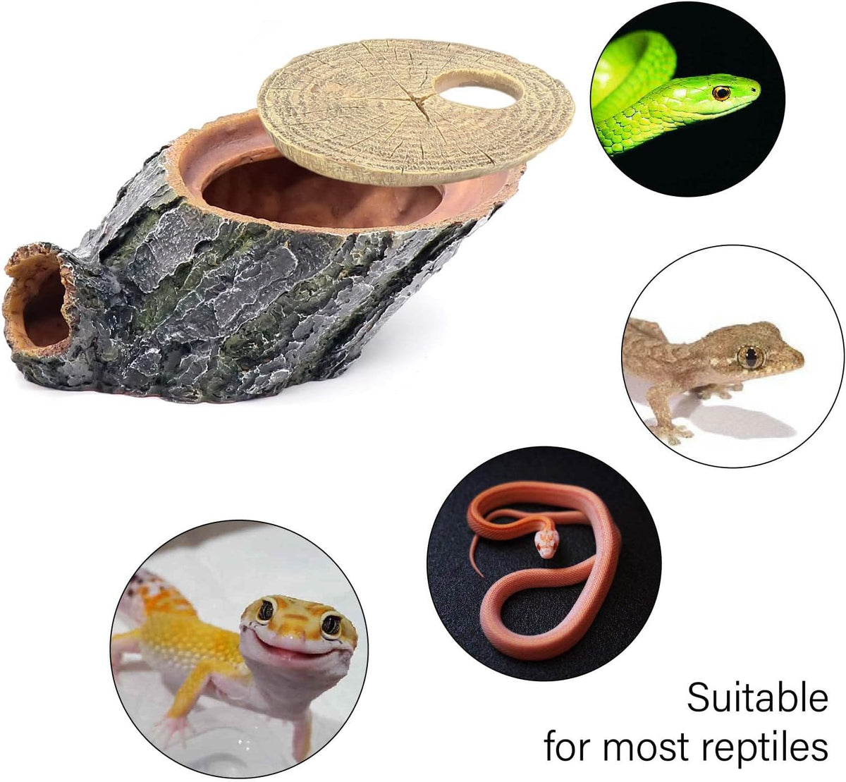 Turtle Basking Platform Shale Scape Step Ledge, Reptile Cave Hideout Turtle Tank Accessories Decorations, Great for Reptiles, Amphibians, Leopard Gecko, Bearded Dragons, Lizard, Frogs
