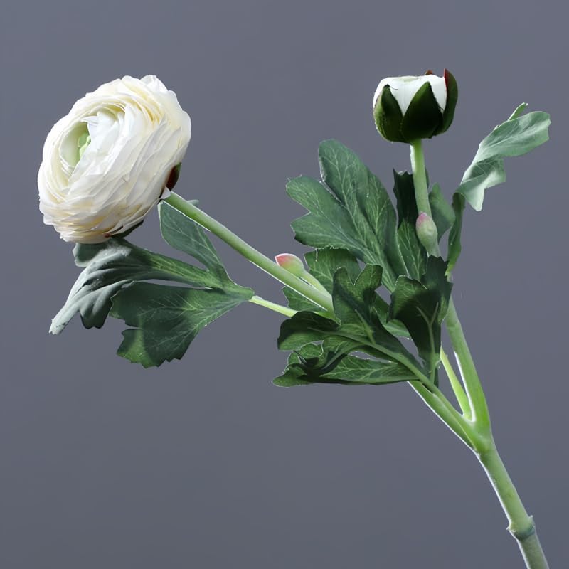 5Pcs 19.6" Artificial Ranunculus Flowers Real Touch Stem Ranunculus Artificial Flower Silk Flower for Arrangements Centerpiece Table Home Wedding Bouquet Party (White)