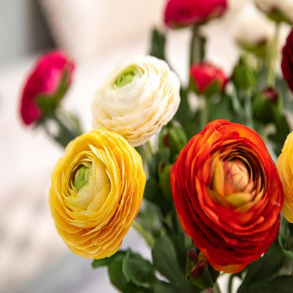5Pcs 19.6" Artificial Ranunculus Flowers Real Touch Stem Ranunculus Artificial Flower Silk Flower for Arrangements Centerpiece Table Home Wedding Bouquet Party (White)