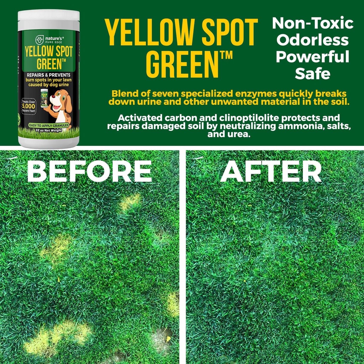 Yellow Spot Green™ Dog Urine Neutralizer for Lawns, Large 32 Ounce | Cures Urine Burns, Prevents Yellow Spots in Your Yard, Repair and Protect Grass from Dog Pee, Easy to Use Granules