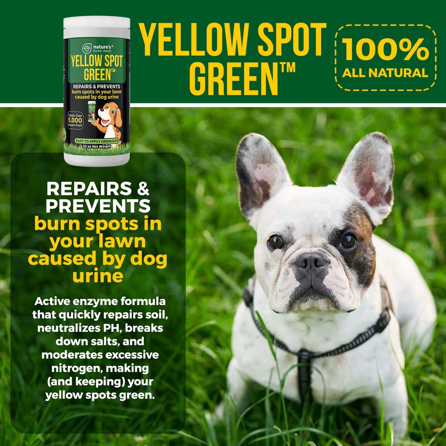 Yellow Spot Green™ Dog Urine Neutralizer for Lawns, Large 32 Ounce | Cures Urine Burns, Prevents Yellow Spots in Your Yard, Repair and Protect Grass from Dog Pee, Easy to Use Granules