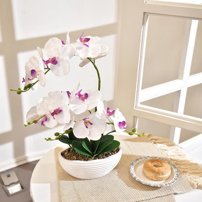 19" H Phalaenopsis Faux Orchid Plant Silk Orchid Centerpiece Artificial Floral Arrangement in Ceramic Pot (White)