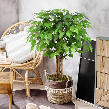 6.2ft Ficus Artificial Trees with 3 Natural Curved Trunks, 74" Tall Lush Faux Tree for Home Decor Indoor, Green Lifelike Fake Ficus Tree Artificial Plants