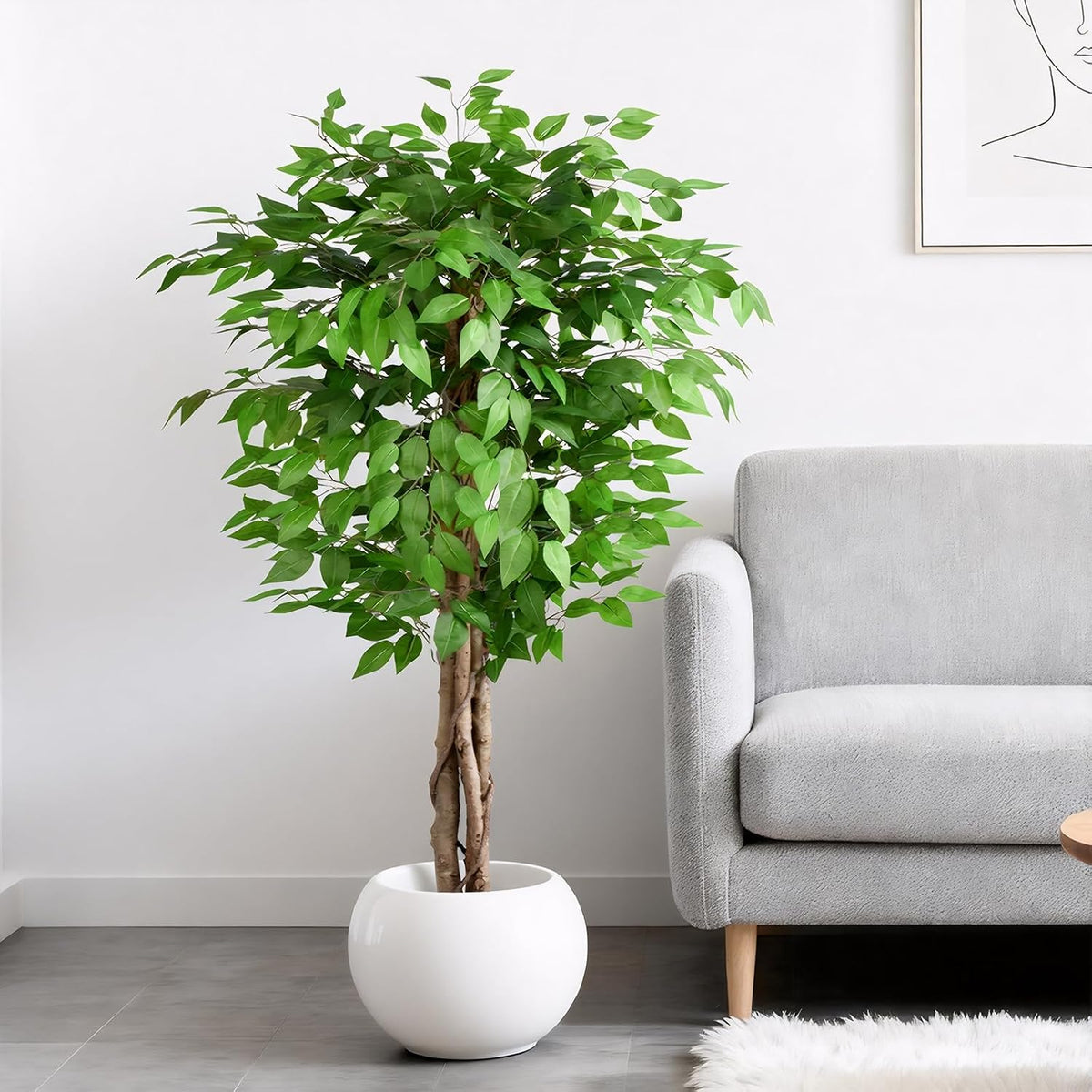 6.2ft Ficus Artificial Trees with 3 Natural Curved Trunks, 74" Tall Lush Faux Tree for Home Decor Indoor, Green Lifelike Fake Ficus Tree Artificial Plants