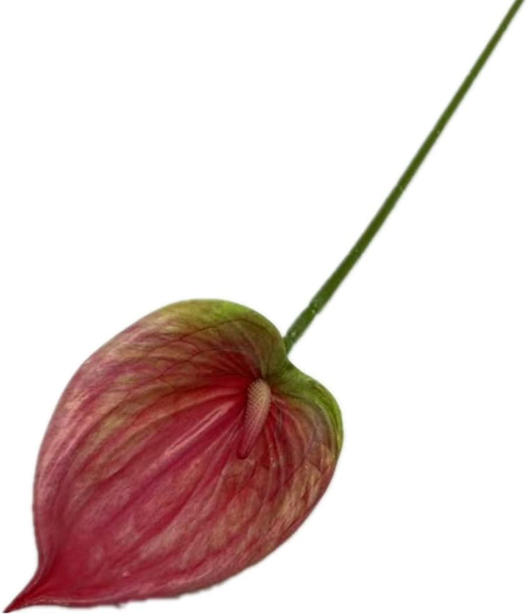8pccs Artificial Anthurium Plant 3D Print Latex Alocasia Real Touch Flamingo Lily Flower (light purple)