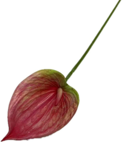 8pccs Artificial Anthurium Plant 3D Print Latex Alocasia Real Touch Flamingo Lily Flower (light purple)