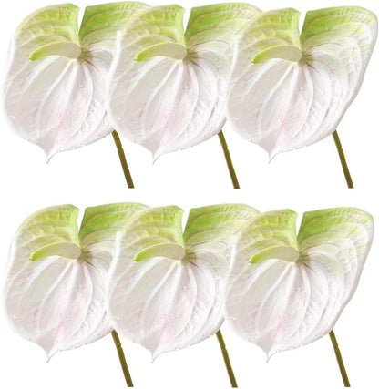 6 PCS 27" Simulation Large Artificial Anthurium Lily Flowers Permanent Flower for Home Decoration Bouquet and Green Leaf， Wedding Festival Decoration Flower Arrangement (Pink)