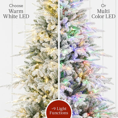 Full Aspen Christmas Tree, 6ft Pre-lit Realistic Noble Fir w/ 450 Glowing Micro LED Lights, 2-in-1 White & Multicolor