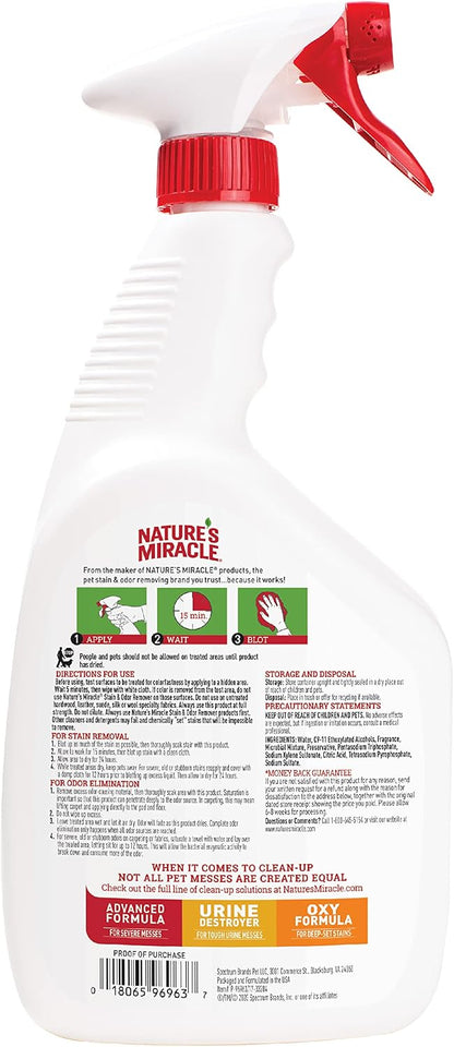 Outdoor Pet Stain & Odor Remover, 64 oz Flip & Go Sprayer