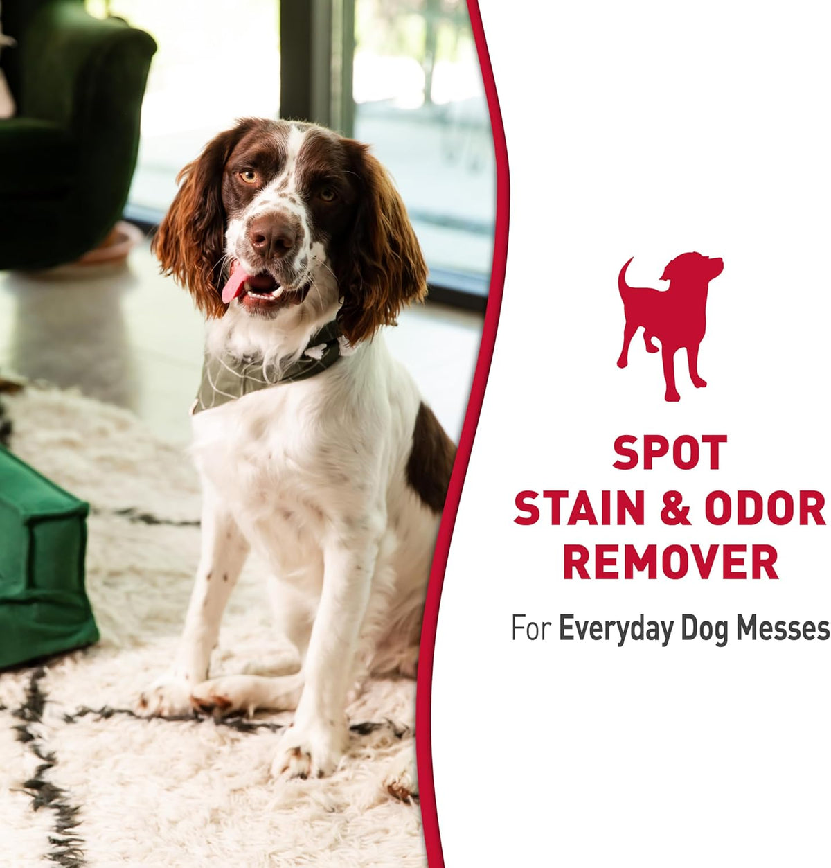 Outdoor Pet Stain & Odor Remover, 64 oz Flip & Go Sprayer