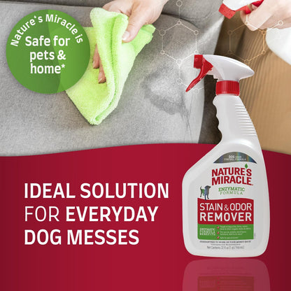 Outdoor Pet Stain & Odor Remover, 64 oz Flip & Go Sprayer