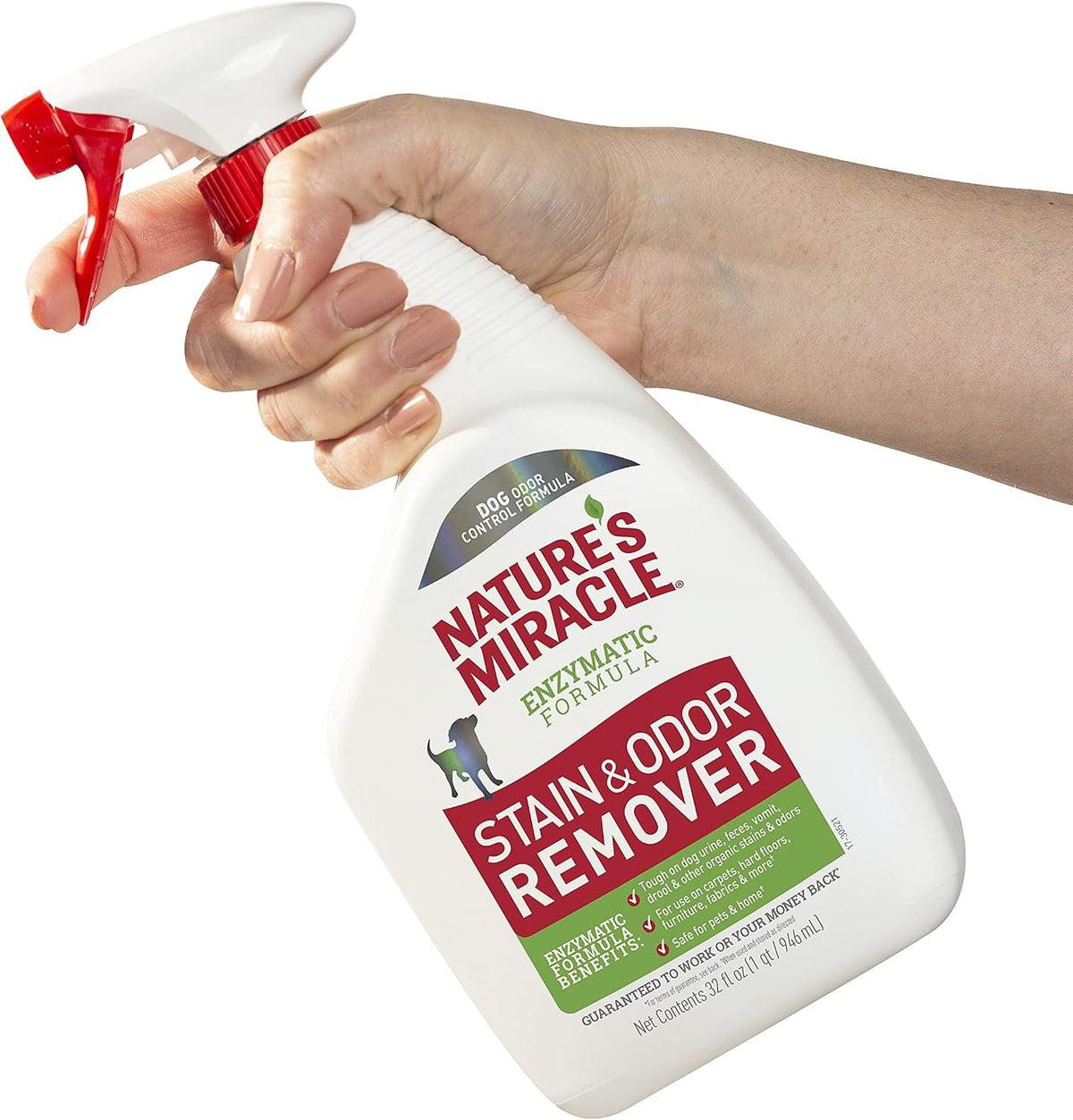 Outdoor Pet Stain & Odor Remover, 64 oz Flip & Go Sprayer