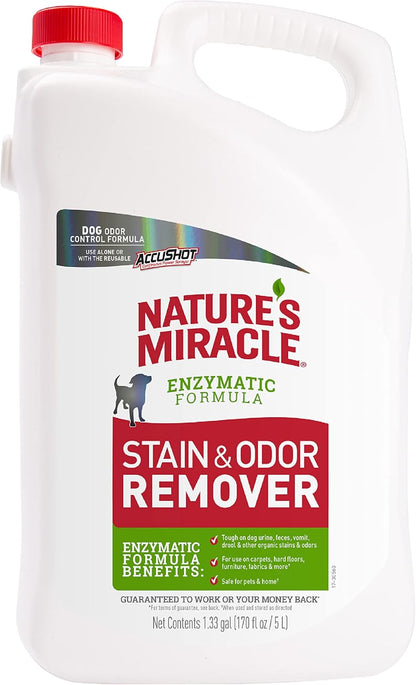 Outdoor Pet Stain & Odor Remover, 64 oz Flip & Go Sprayer