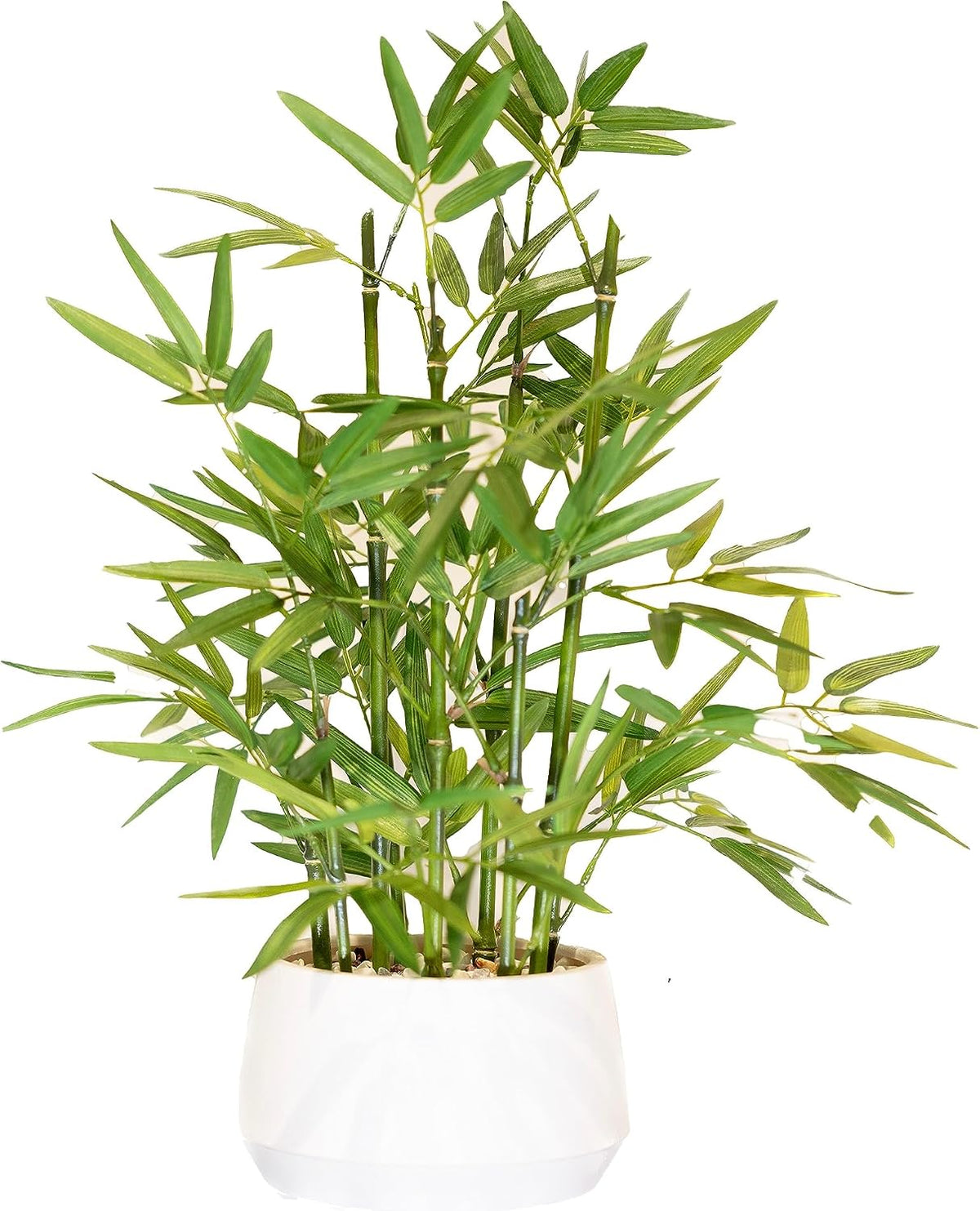 365 Blooming Decor 18-inch Tall Potted ARTIFICIAL Bamboo Plant (Black Pot) - Luxury Artificial Bamboo in black textures Pot for Home, Office, Kitchen, Counter Top, Indoor Decor, Money Tree, Lucky Tree