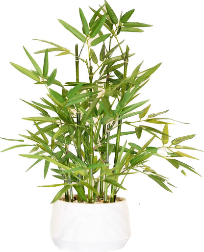 365 Blooming Decor 18-inch Tall Potted ARTIFICIAL Bamboo Plant (Black Pot) - Luxury Artificial Bamboo in black textures Pot for Home, Office, Kitchen, Counter Top, Indoor Decor, Money Tree, Lucky Tree