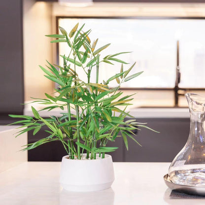 365 Blooming Decor 18-inch Tall Potted ARTIFICIAL Bamboo Plant (Black Pot) - Luxury Artificial Bamboo in black textures Pot for Home, Office, Kitchen, Counter Top, Indoor Decor, Money Tree, Lucky Tree