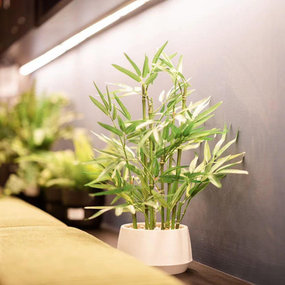 365 Blooming Decor 18-inch Tall Potted ARTIFICIAL Bamboo Plant (Black Pot) - Luxury Artificial Bamboo in black textures Pot for Home, Office, Kitchen, Counter Top, Indoor Decor, Money Tree, Lucky Tree
