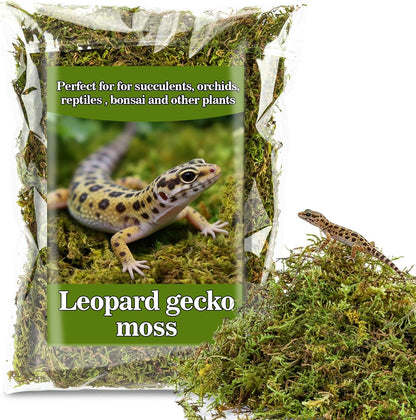 Sphagnum Moss for Reptiles - 5 Oz Terrarium Reptiles Moss Green Dried Peat Moss Habitat Bedding Moss for Leopard Gecko Turtle Frog Snakes Lizards