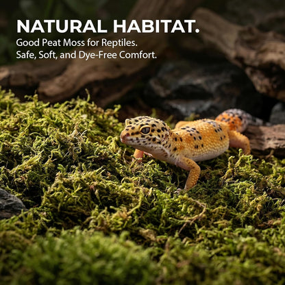 Sphagnum Moss for Reptiles - 5 Oz Terrarium Reptiles Moss Green Dried Peat Moss Habitat Bedding Moss for Leopard Gecko Turtle Frog Snakes Lizards