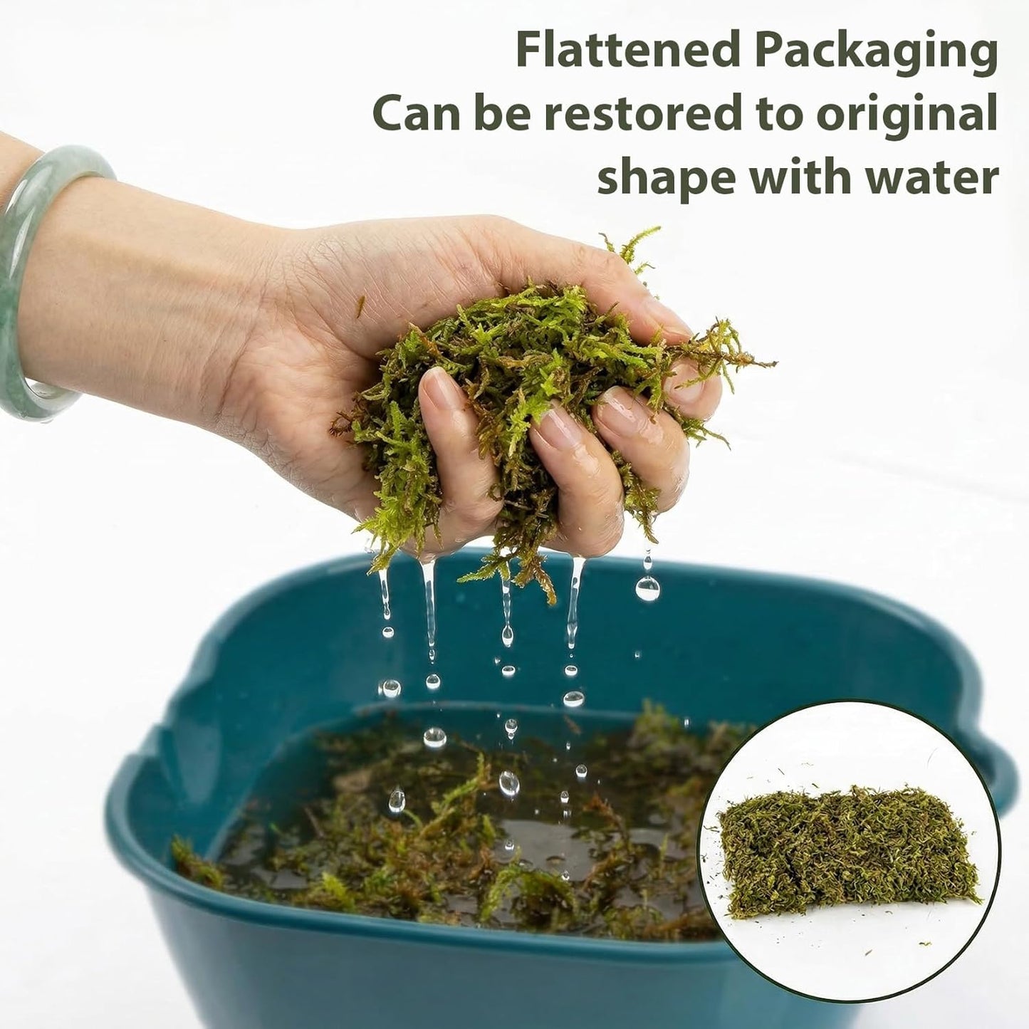 Sphagnum Moss for Reptiles - 5 Oz Terrarium Reptiles Moss Green Dried Peat Moss Habitat Bedding Moss for Leopard Gecko Turtle Frog Snakes Lizards