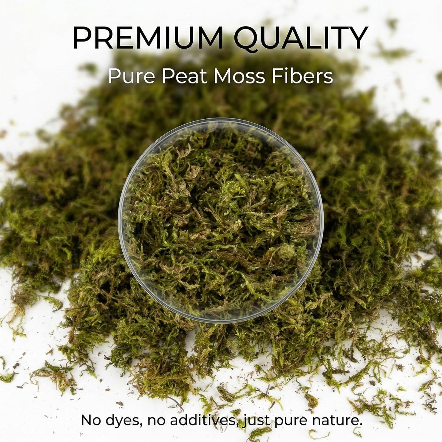 Sphagnum Moss for Reptiles - 5 Oz Terrarium Reptiles Moss Green Dried Peat Moss Habitat Bedding Moss for Leopard Gecko Turtle Frog Snakes Lizards