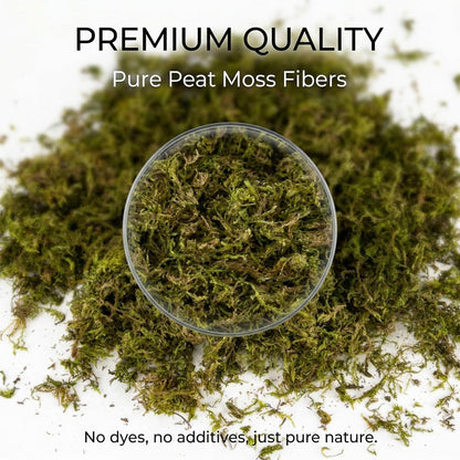 Sphagnum Moss for Reptiles - 5 Oz Terrarium Reptiles Moss Green Dried Peat Moss Habitat Bedding Moss for Leopard Gecko Turtle Frog Snakes Lizards