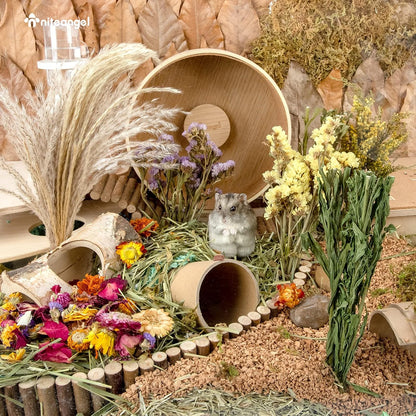 Natural & Soft Hamster Bedding Mate Small Animal Habitat Decor for Syrian Dwarf Hamsters Gerbils Mice Degus Bunny or Other Small-Sized Pet (Flowers Scent Path)