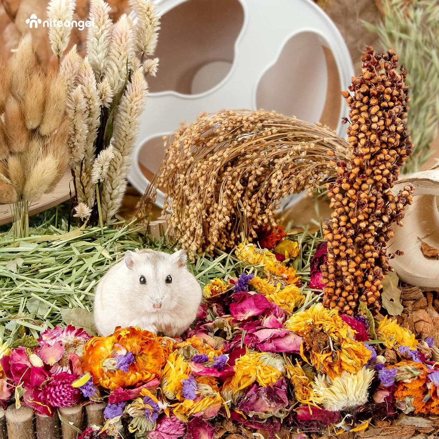 Natural & Soft Hamster Bedding Mate Small Animal Habitat Decor for Syrian Dwarf Hamsters Gerbils Mice Degus Bunny or Other Small-Sized Pet (Flowers Scent Path)