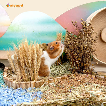 Natural & Soft Hamster Bedding Mate Small Animal Habitat Decor for Syrian Dwarf Hamsters Gerbils Mice Degus Bunny or Other Small-Sized Pet (Flowers Scent Path)
