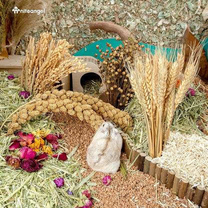 Natural & Soft Hamster Bedding Mate Small Animal Habitat Decor for Syrian Dwarf Hamsters Gerbils Mice Degus Bunny or Other Small-Sized Pet (Flowers Scent Path)