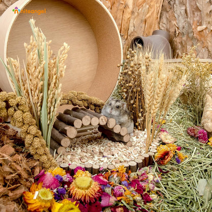Natural & Soft Hamster Bedding Mate Small Animal Habitat Decor for Syrian Dwarf Hamsters Gerbils Mice Degus Bunny or Other Small-Sized Pet (Flowers Scent Path)