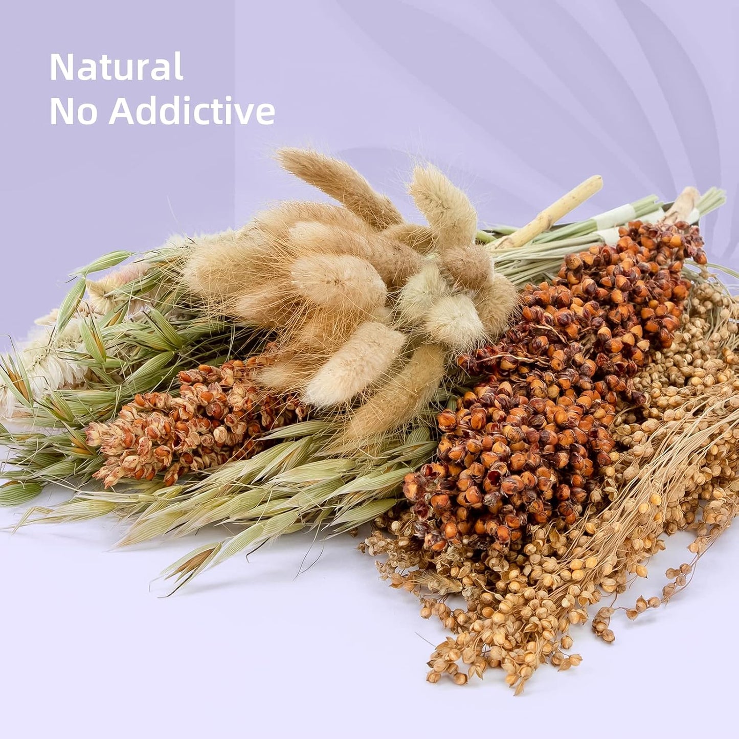 Natural & Soft Hamster Bedding Mate Small Animal Habitat Decor for Syrian Dwarf Hamsters Gerbils Mice Degus Bunny or Other Small-Sized Pet (Flowers Scent Path)