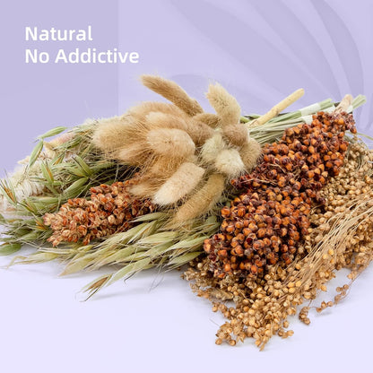 Natural & Soft Hamster Bedding Mate Small Animal Habitat Decor for Syrian Dwarf Hamsters Gerbils Mice Degus Bunny or Other Small-Sized Pet (Flowers Scent Path)