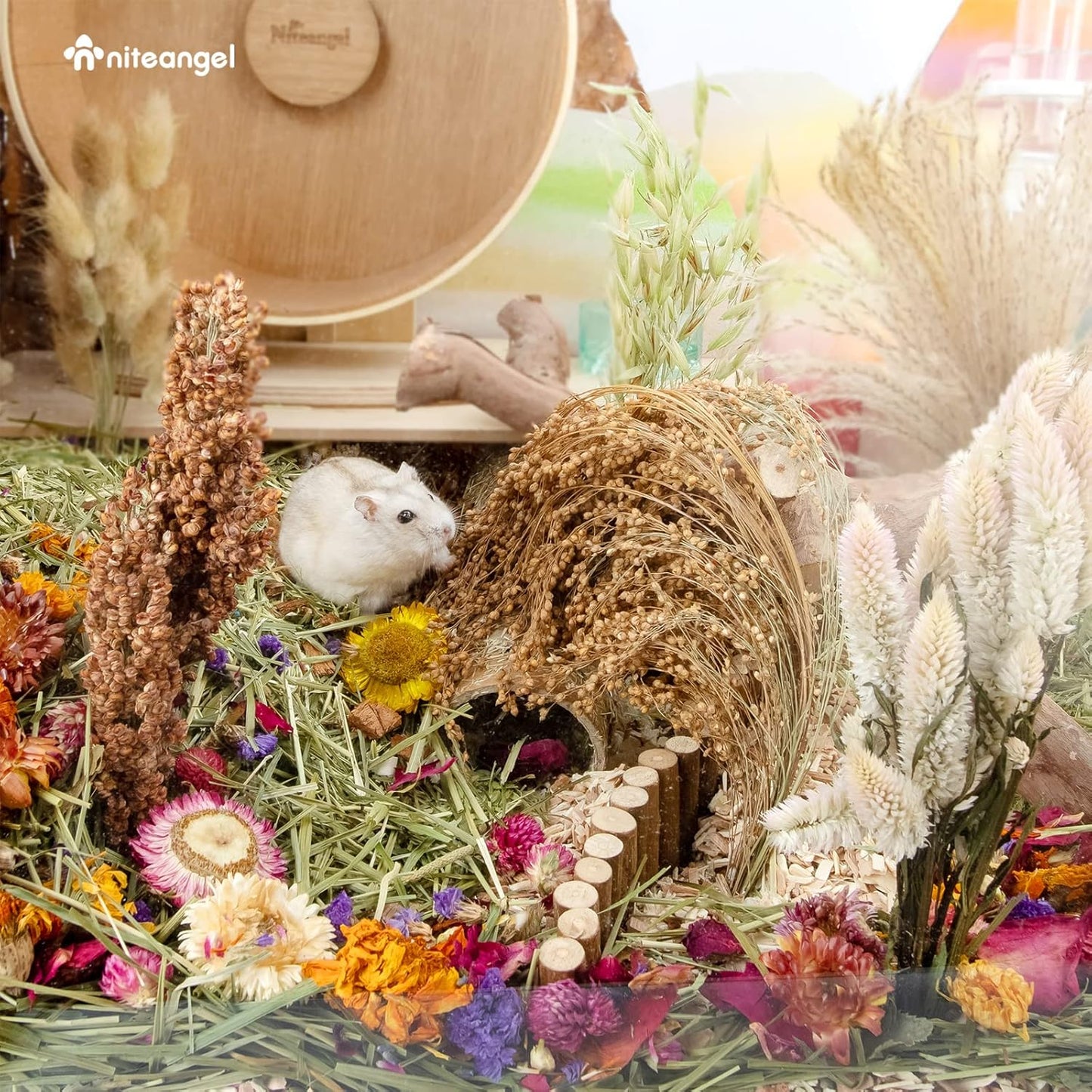 Natural & Soft Hamster Bedding Mate Small Animal Habitat Decor for Syrian Dwarf Hamsters Gerbils Mice Degus Bunny or Other Small-Sized Pet (Flowers Scent Path)