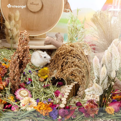 Natural & Soft Hamster Bedding Mate Small Animal Habitat Decor for Syrian Dwarf Hamsters Gerbils Mice Degus Bunny or Other Small-Sized Pet (Flowers Scent Path)