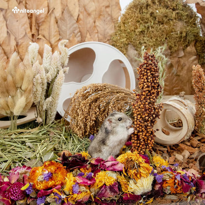 Natural & Soft Hamster Bedding Mate Small Animal Habitat Decor for Syrian Dwarf Hamsters Gerbils Mice Degus Bunny or Other Small-Sized Pet (Flowers Scent Path)