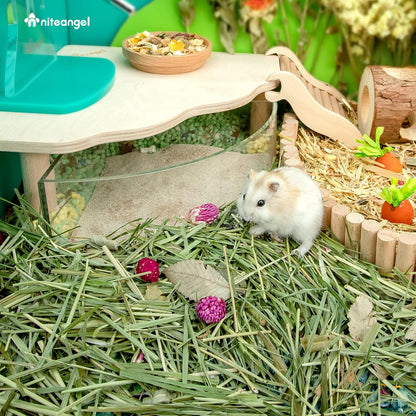 Natural & Soft Hamster Bedding Mate Small Animal Habitat Decor for Syrian Dwarf Hamsters Gerbils Mice Degus Bunny or Other Small-Sized Pet (Flowers Scent Path)